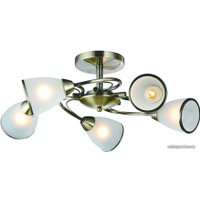 Припотолочная люстра Arte Lamp Innocente A6056PL-5AB