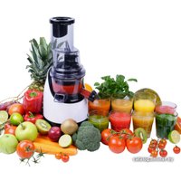 Соковыжималка Rawmid Greenery RGJ-03