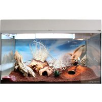 Террариум Lucky Reptile Стартовый комплект для эублефаров SK80LG-W (белый)