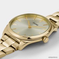 Наручные часы Cluse Feroce CW11212