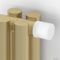 Стальной трубчатый радиатор Сунержа Эстет-11 EU50 500х945 21 секция (матовая шампань)