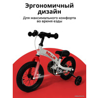 Беговел-велосипед Bubago Rollin BG-112-1 (белый/красный)