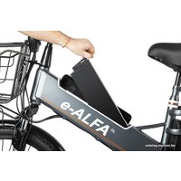 Электровелосипед Eltreco Green City E-Alfa GL 2021 (черный) в Гродно