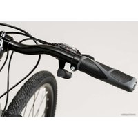 Велосипед Trek Dual Sport 1 (серебристый, 2019)