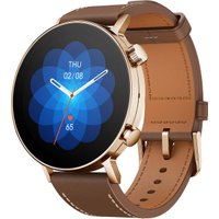 Умные часы Amazfit GTR 3 Pro Limited Edition (золотистый)