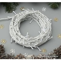 Светодиодная гирлянда Luazon Нить 3556820