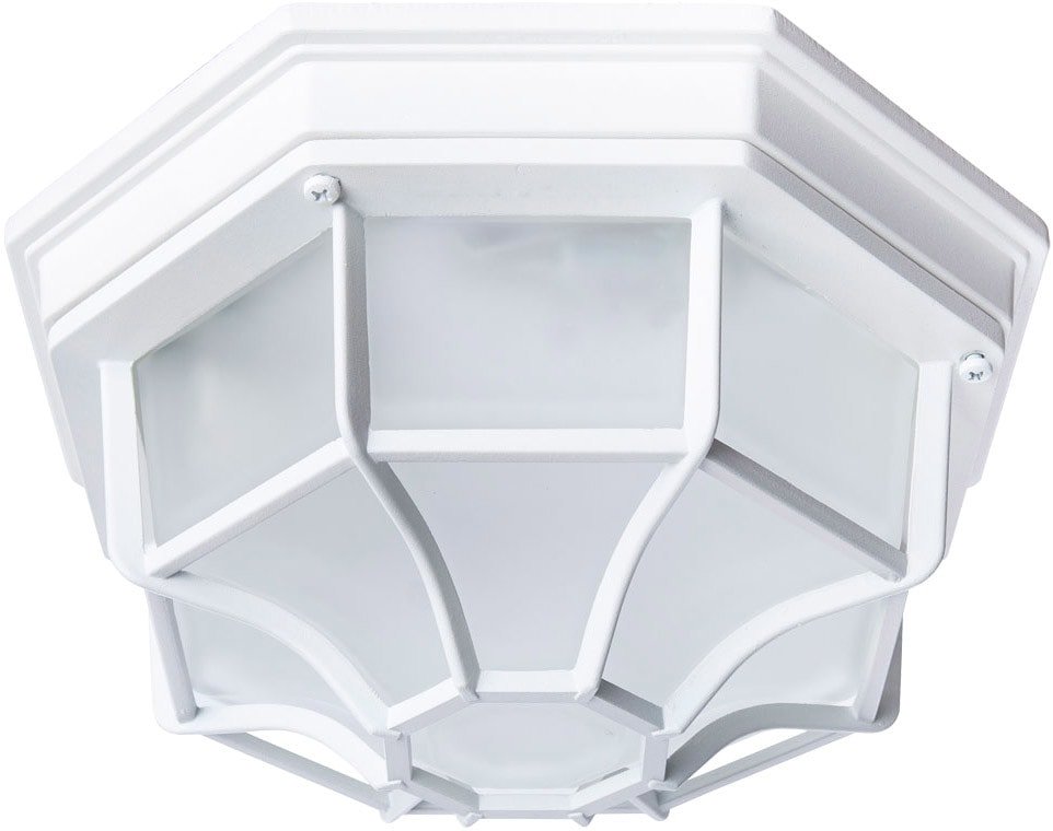 

Уличный накладной светильник Arte Lamp Pegasus Piatto A3100PL-1WH
