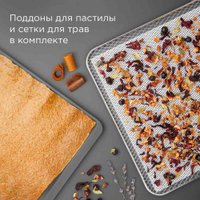 Сушилка для овощей и фруктов Redmond (Редмонд) FD1104