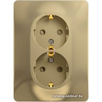 Розетка Schneider Electric Glossa GSL000426 (титан)