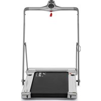 Электрическая беговая дорожка Orlauf Owl (серебристый)