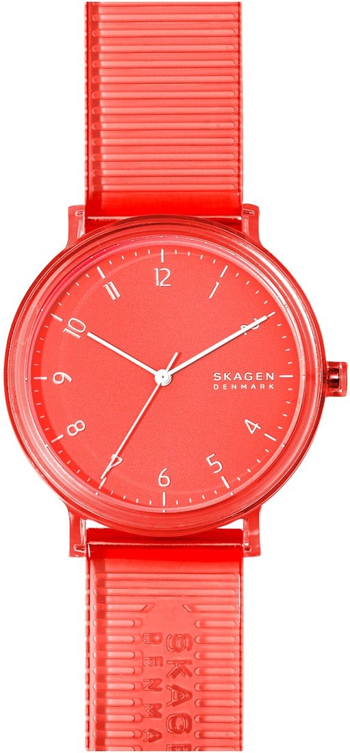 

Наручные часы Skagen SKW6603