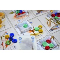 Настольная игра Фабрика игр Петрикор