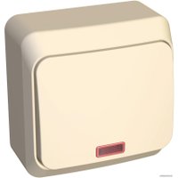 Выключатель Schneider Electric Этюд BA10-005K