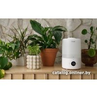Увлажнитель воздуха Levoit Dual 200S