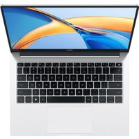 Ноутбук HONOR MagicBook X14 2024 FRI-H56 5301AJWP