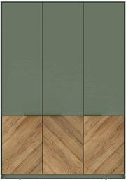 Шкаф-купе Black Red White Siena SZF3D (дымчатый зеленый/дуб вотан)