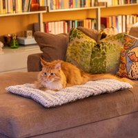 Коврик (подстилка) Ferplast Vanilla 90 81085221