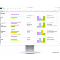 Монитор EIZO FlexScan EV2456-WT