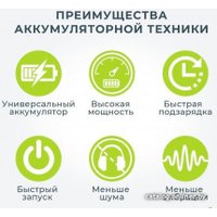 Высоторез Greenworks G24PS20K2 (с 1-м АКБ 2 Ah)