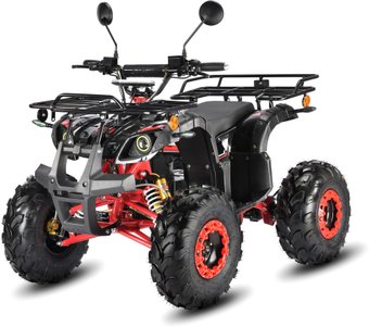 Квадроцикл White Siberia Sneg Pro 3000W