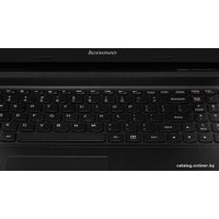 Ноутбук Lenovo G505s (59389519)