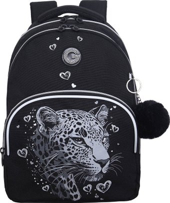 Школьный рюкзак Grizzly RG-660-4 (черный/серебряный)