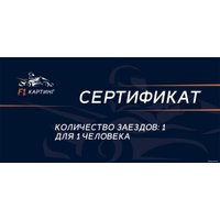  F1-Картинг 1 заезд