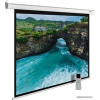 Проекционный экран CACTUS MotoExpert 240x240 CS-PSME-240x240-WT в Бобруйске