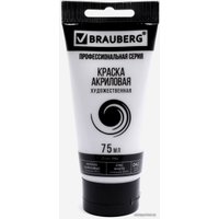 Акриловая краска BRAUBERG Art Classic 191587 (белила цинковые, 75 мл)