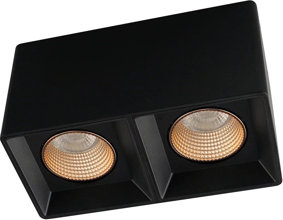 

Точечный светильник Denkirs DK3085-BK+BR