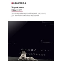 Варочная панель Hansa BHI67116