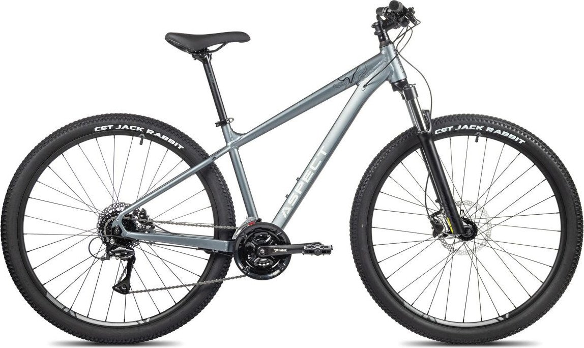 Велосипед Aspect Legend 29 M 2024 (серый)