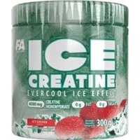 Моногидрат креатина FA Engineered Nutrition Ice Creatine Icy Lychee (300 г, ледяной личи) в Гродно