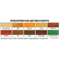 Пропитка Здоровый дом 0.8 л (рябина) в Бресте