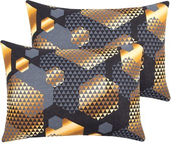 АртПостель Альберт 203 (50x70, 2шт)