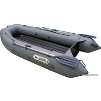 Моторная лодка Адмирал 290 НДНД