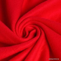 Плед Экономь и Я 6881716 150x200 (красный, 160 г/м2)