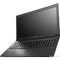 Ноутбук Lenovo B590 (59390831)