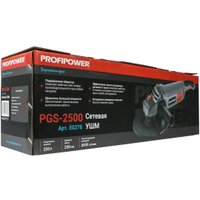 Угловая шлифмашина Profipower PGS-2500 в Пинске