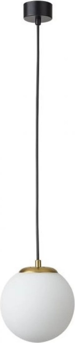 

Подвесная люстра Lumion Dexter 6500/1