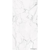 Керамогранит (плитка грес) Kerranova Marble Trend Carrara K-1000/LR 1200x600