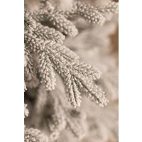 Ель Ёлушка Уральская заснеженная ЕУРАЛЗ 18 (1.8м, подставка пластик)