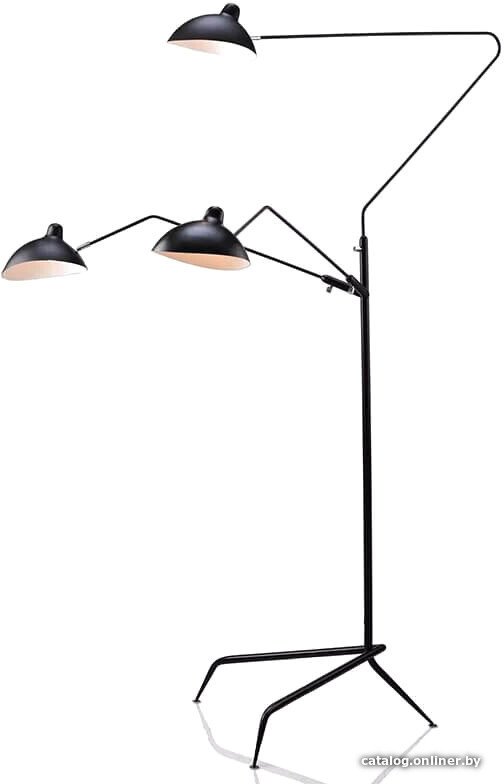 Торшер L'Arte Luce Spider L05644