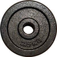 Диск ZEZ Sport DK-2.5 (окрашенный)