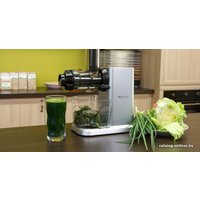 Соковыжималка Hurom Chef GI-SBE08