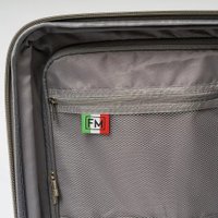 Чемодан-спиннер Francesco Molinary 344-8038/2-20GGN (серый/зеленый)