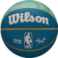 Баскетбольный мяч Wilson NBA Team City Collector Charlotte Hornets WZ4024104XB7 (7 размер) в Бресте