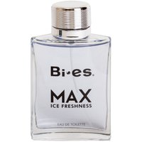 Туалетная вода BI-ES Max Ice Freshness EdT 100 мл