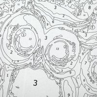 Картина по номерам MultiArt CANV28X20-117517