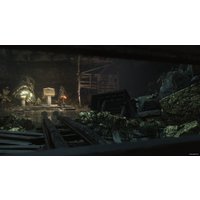  Rise of the Tomb Raider: 20 Year Celebration для PlayStation 4